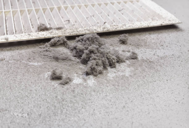 Best Ductwork Cleaning Services  in Moyock, NC