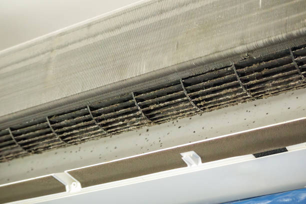 Best Affordable HVAC Duct Cleaning  in Moyock, NC