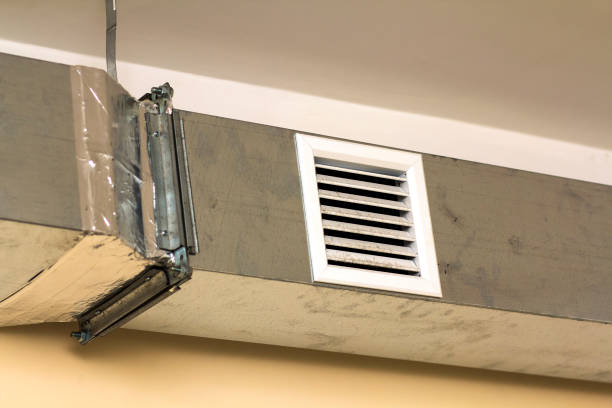 Best Home Air Vent Cleaning  in Moyock, NC